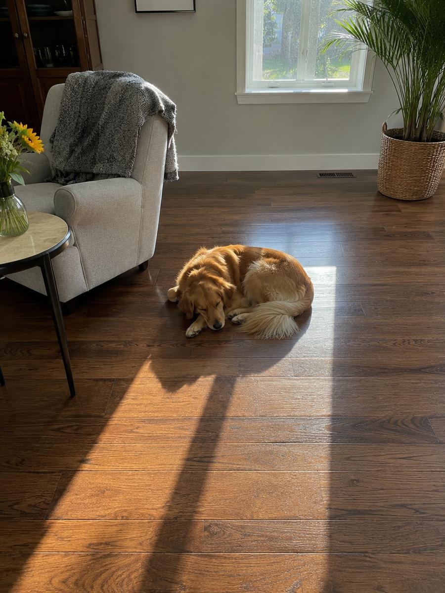 Post-walk sun spot